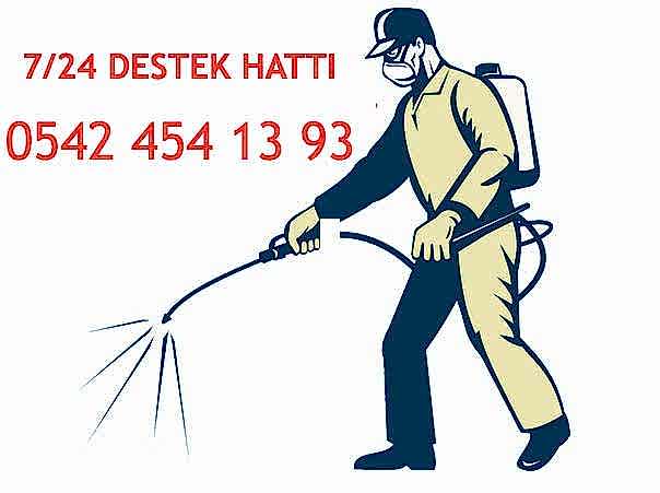 pire mite kene uyuz bit karafatma kalorifer böceği alman hamam böceği haşere iilaçlama şişli ilaçlama beşiktaş ilaçlama belediye ilaçlama bayer böcek ilaçlama